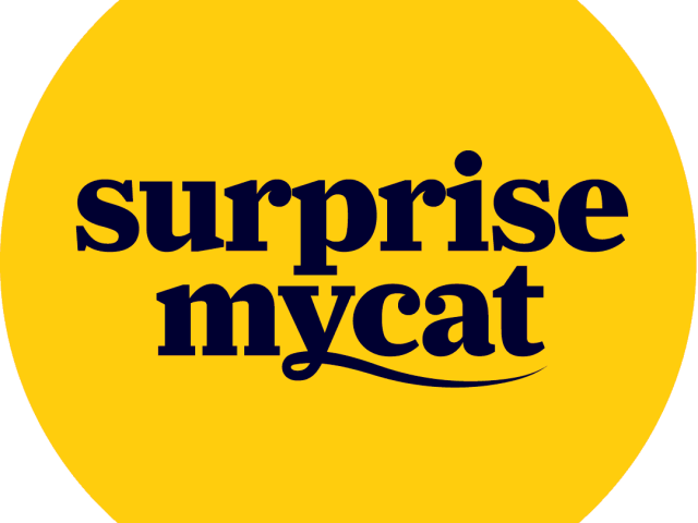 Surprise My Cat