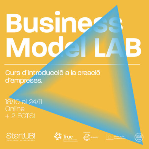 Business Model Lab