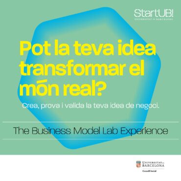 The Business Model Lab Experience