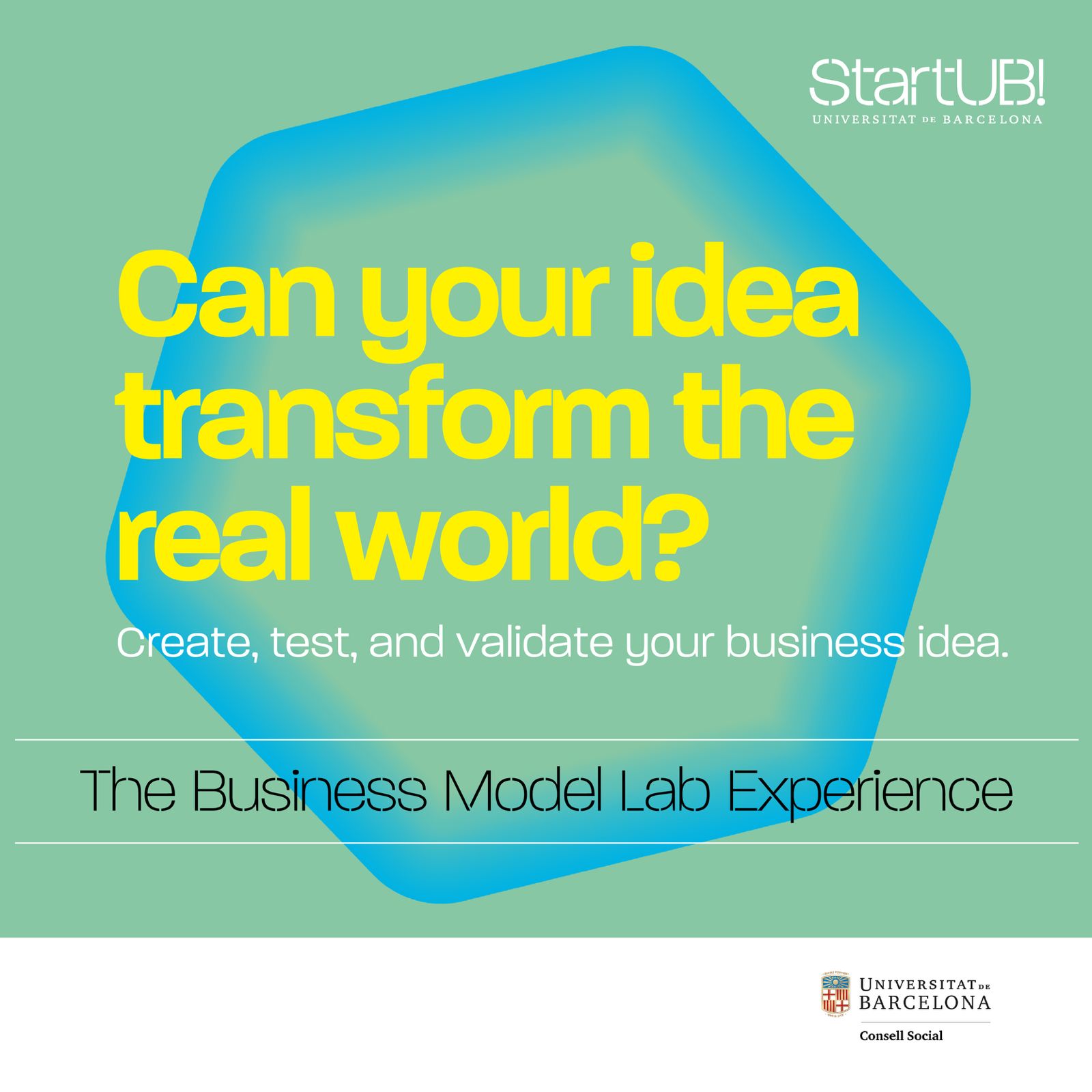 The Business Model Lab Experience