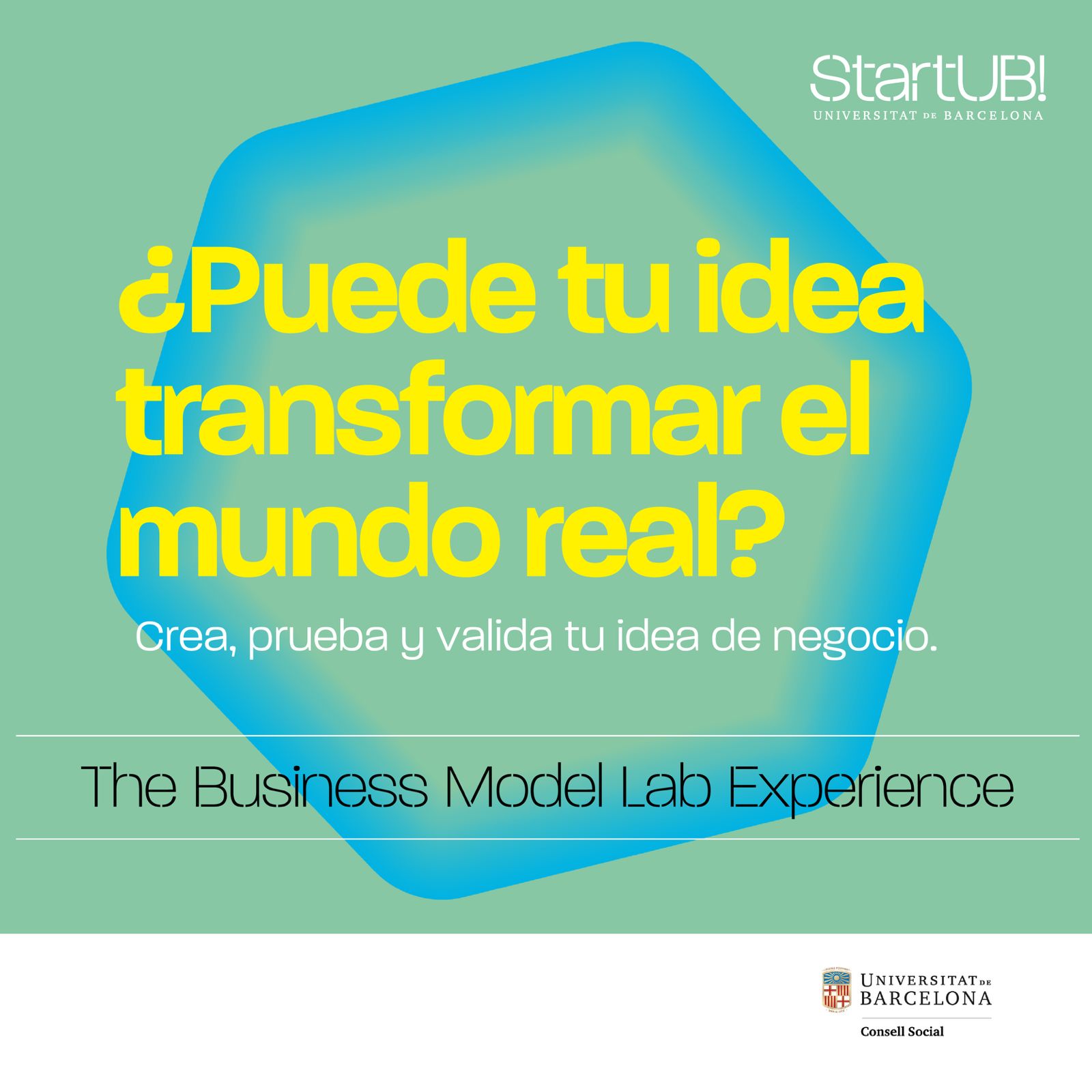 The Business Model Lab Experience